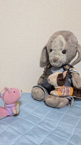 家族で登山家の藤丸に昨日の富士山登山の話を聞いたよ。
「飼い主に朝3時から登らされたから大変だった」って言ってた。