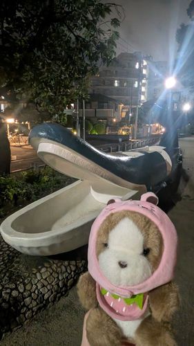 夜のお散歩でなんか居た⁉️
たくさん雨降った後だから、涼し〜ね〜。