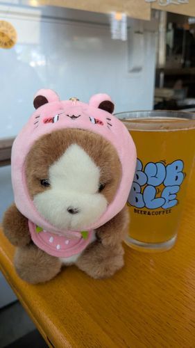 今日もご主人は黄色いシュワシュワ飲んでる‼️