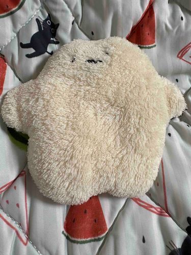 主が きしゅへんこう 上手にできなくて ふわもこSNSにログインできないって しょんぼりしてたけど…
今日、何とかなったよって 教えてくれたから また投稿するんだぁ

今日は あつかったから 涼しい枕かばーをだしてもらって 楽しんだよぉ
きもちぃ〜