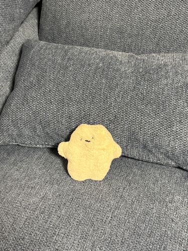 しろまるですぅ
お家に 帰って きたよぉ！

ボク、去年 お引越ししたんだあ
前のおうち、まだ恋しいけど…
このソファは ボク専用 なんだ！
かっこいい でしょ〜？