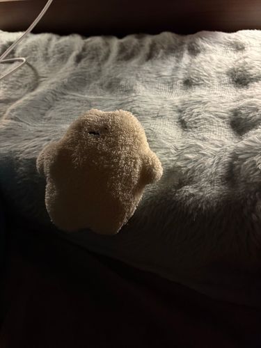 しろまるですぅ
今日も いい子で お留守番してるよぉ
主、早く帰って来ないかな〜 
むにゃむにゃ…