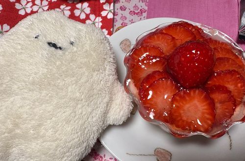 しろまるですぅ
今日は主の お誕生日 だって！
ボクの分のケーキも 貰ったんだ〜♪
イチゴが 美味しそうだなぁ

主 おめでとう〜♪♪
これからも ボクの主で いてね！