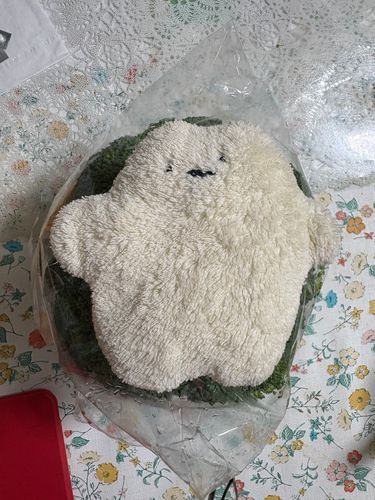 しろまるですぅ
主の おばあちゃん の お家に来たよ！
これは、お土産の ぶろっこりー！
ボクより 大きいんだぁ
主も 手のひらよりでかい！ って
はしゃいで すぐ買っちゃったんだって〜
おばあちゃんも ビックリしてたよぉ
