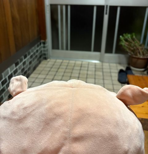 お出迎え するぶぶ
