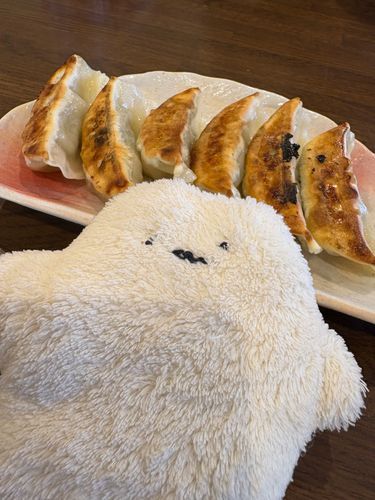 しろまるですぅ

これは、ぎょうざ！
この前覚えたよ！

この ぎょうざ は、羽根がないの？