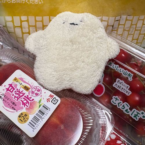 しろまるですぅ

今日は、主が、主の父？と、晩ご飯
行ってきたんだって！
連れてって貰えなくて しょんぼり してたけど…
沢山 お土産 買ってきてくれたよぉ！
もも、 きいろいすいか、さくらんぼ
って 言うんだって！

この写真だと、ボク、フルーツの王様〜！？