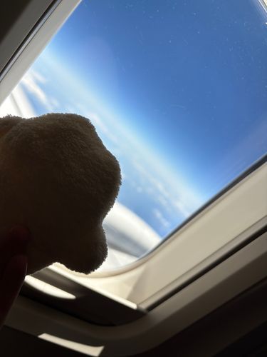 しろまるですぅ
ぬい生初の ひこーき！
雲が下にあるよぉ、主〜！
