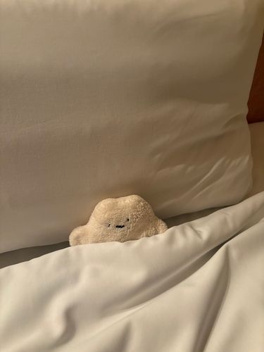 ボク用の ベッド！
おやすみ〜