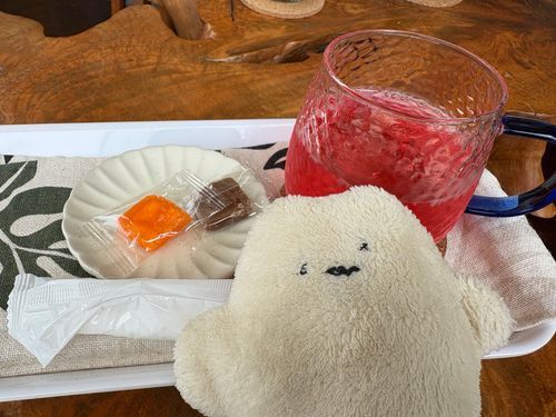 おうちに 帰ってきたよ〜！
最後に飲んだ はいびすかすてぃー
美味しかったぁ♪
ボク楽しかったから、また行こうね、主〜！！