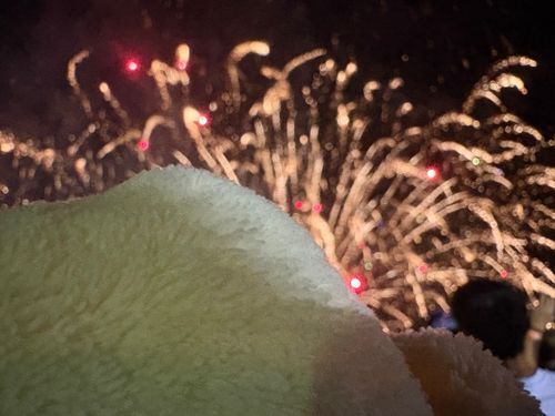 しろまるですぅ
花火大会 に 主と行ってきたよ！
音が大きくて びっくりしちゃったけど…
きらきらしてて とっても 綺麗だったの〜！
屋台 も 沢山あって ルンルン♪