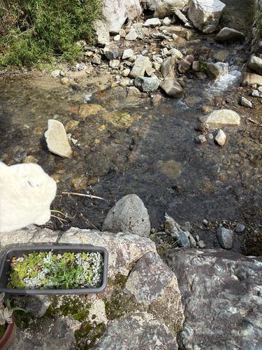 なんだか 涼しげ〜？