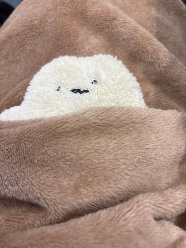 しろまるですぅ
主が、いちょうえん？ってのに
なってたらしくて、久しぶりのお仕事なんだって〜
心配だから今日だけ ついてきたよぉ
ボクはちょっと 一眠り…むにゃ