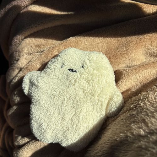 おひさま ぽかぽか…むにゃ