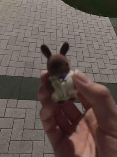 これが“よる”だよ。