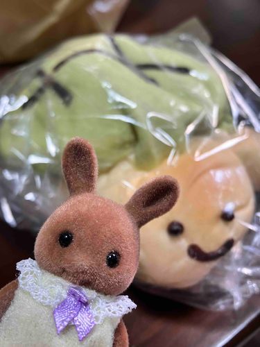 ｶﾒﾊﾟ