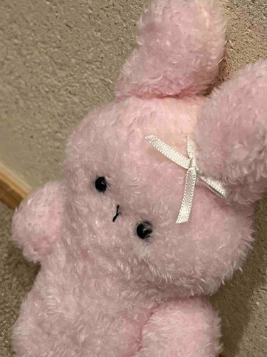 りぼんつけてもらったの
しっぽにもついてるんだよ  今度みせてあげるね