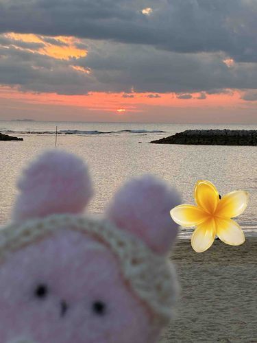 夕日をみたよ