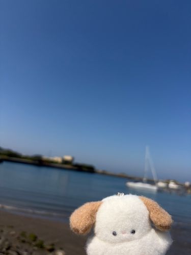 かぜが気持ちいいな｡o○