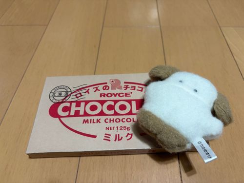 ゆうめいなチョコらしい…？
あまくておいしい( *¯ ꒳¯*)