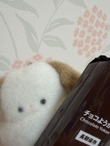 チョコようかん…！
たべるのたのしみ(* ॑꒳ ॑* )