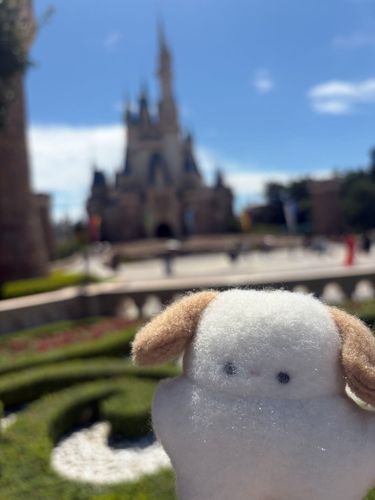 たのしー！
はれてよかったな(*´˘`*)