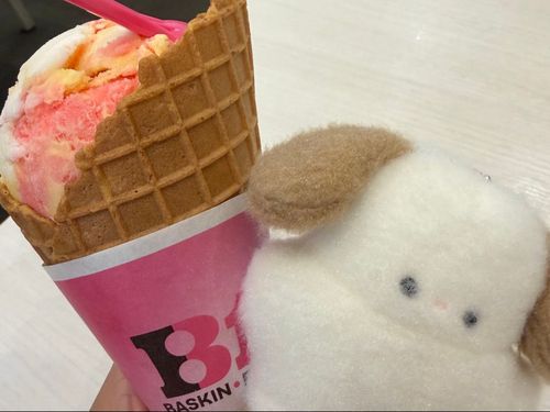 今日はあつかったね…꜀(  ꜆  ‐ᯅ‐ )꜆
アイスをたべてひんやりしたよ‪𓂂𓏸