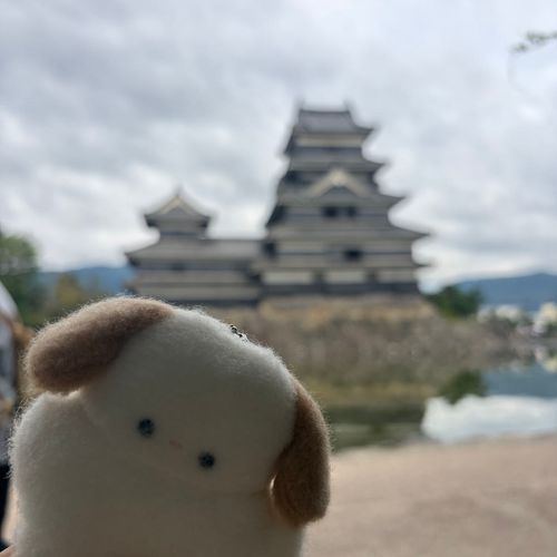 おしろに行ったよ！
水にぷかぷかういてたよ｡o○