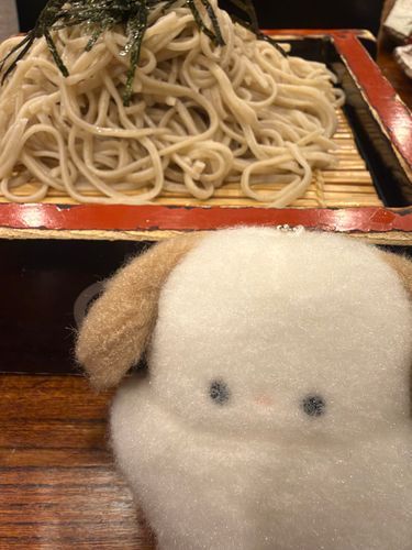 おそばやさんにきたよ〜
たまごやきがとってもおいしかったんだ‪𓂂𓏸