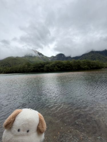 きょうは自然をたのしんだよ~
とっても空気が
おいしかったんだ(*´˘`*)