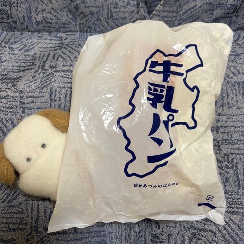 おはよう(  ¯꒳​¯ )ᐝ
あめがひどいからいまから帰るよ(._.`)