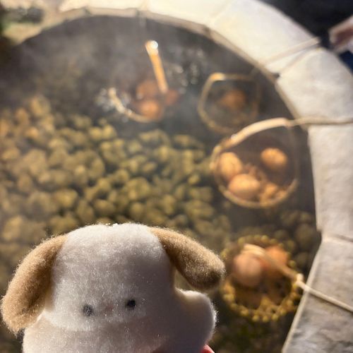 おんせんたまごつくったよ〜
きみがトロトロだったよ(*´˘`*)