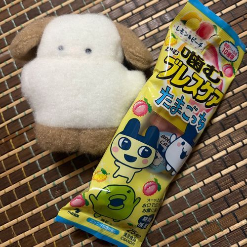 だいすきなみみっち！
つれてかえってきたよ〜