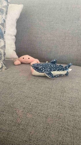 ジンベエザメとサイズ感がおかしいガニ
