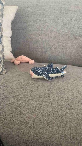 ジンベエザメとサイズ感がおかしいガニ
なぜかプレデター(捕食者)感が出てしまうかにさん