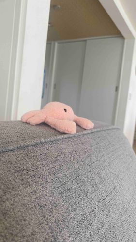 たそがれがに🫧
