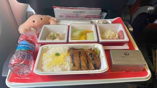 久々のジャルジャル(JAL