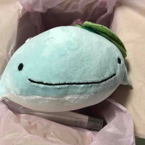 まいなだよ！
SNSをやってみることにしたよ
これは昔、ぬいぐるみ病院さんにお世話になった時の写真！