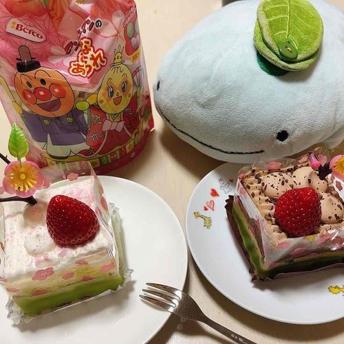 ひなまつり！
ケーキとひなあられたべたよ🍰