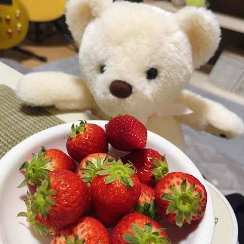 ぽーちゃんいちご大好き🍓！甘くておいしかった🧸