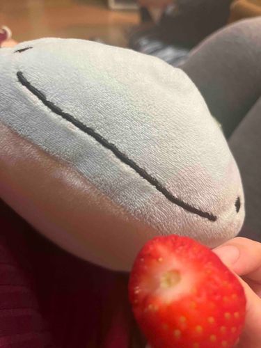 まいなもいちご🍓もらった！
