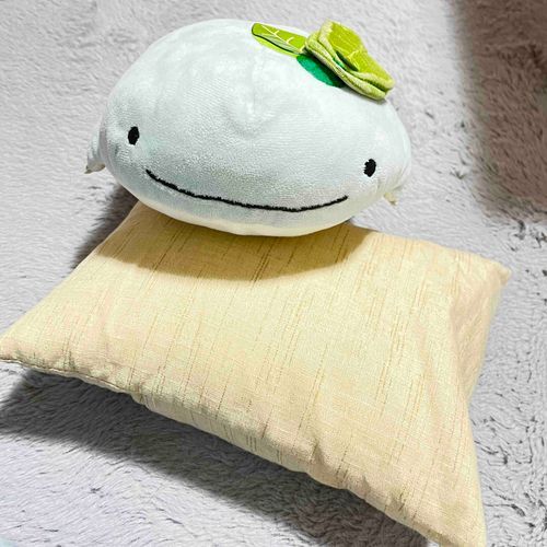 「クッションをあごの下に置くと楽だよ」って！ほんとかな？