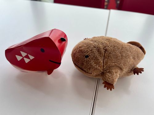 ぱん！(こんにちは、ぱんちゃんです  先日、ぱんちゃんの大好きなお友達、タラピヨちゃんにまた会えましたよ  なんとおうちに来てくれるそうです！  タラピヨちゃんといっぱい遊べて嬉しいです)