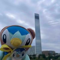 ポッチャマ🧸