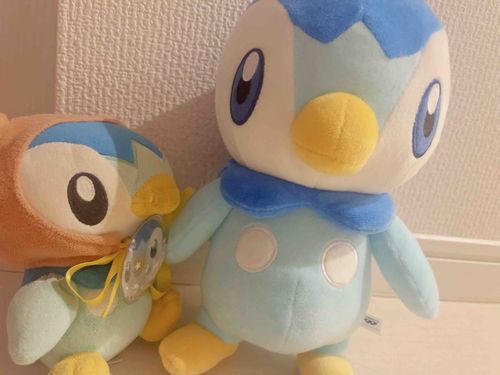 あたらしいなかまが増えたぽちゃ🐧