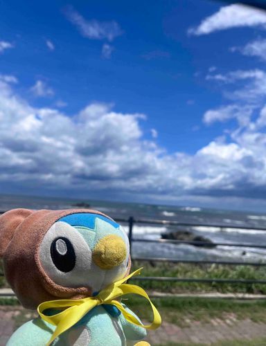 たいふうなくなって晴れた☀️