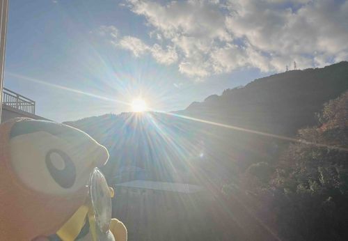 きれいすぎる朝日🌅