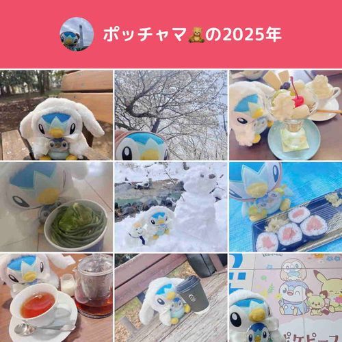 2025ねんもみなさん ありがとうございましたぽちゃ！🐧
ふりかえるといろいろな思い出があったなぁ💭💭💭

（今年は変化の年だったので来年は投稿もう少し頑張ります…）