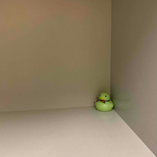 隅によくフィットする ゆで