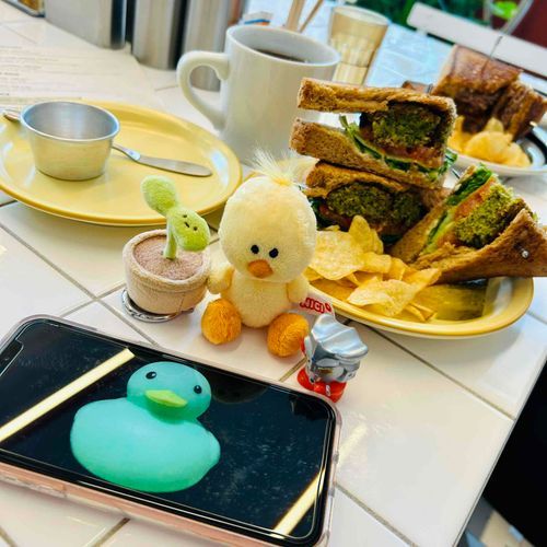 せっかく人形のお友達と会うチャンスだったのににんげんが忘れてったからリモート参加だったよ！ばかやろーーっ